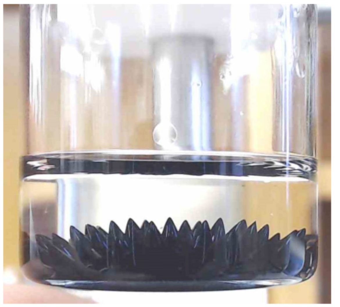 Ferrofluide unter Magnetfeldeinfluss in einem Glas sichtbar. Sie sind schwarz und zeigen spitz nach oben wie ein Igel